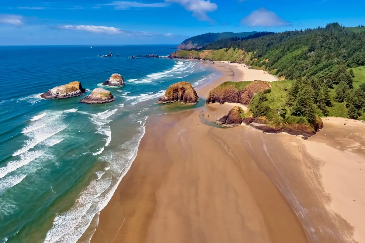 A sweeping view of a sandy beach bordered by striking rock formations and verdant green cliffs. Gentle waves roll in, and the wide shoreline invites exploration, relaxation, and play. The scene captures the natural beauty and open space that defines the Seaside coast.